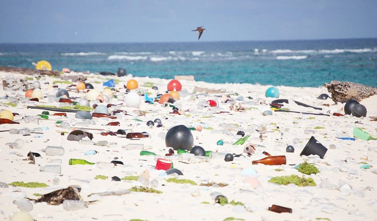 Mixed plastic waste washed up along a coastline